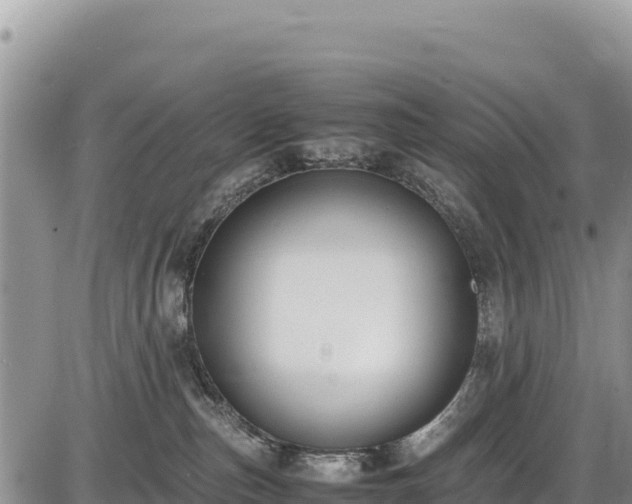 X0000086910187200704231228