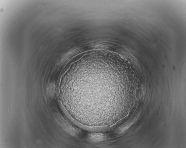 X0000086910189200704231228