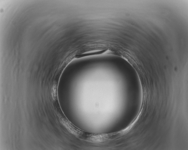 X0000086910190200704231228