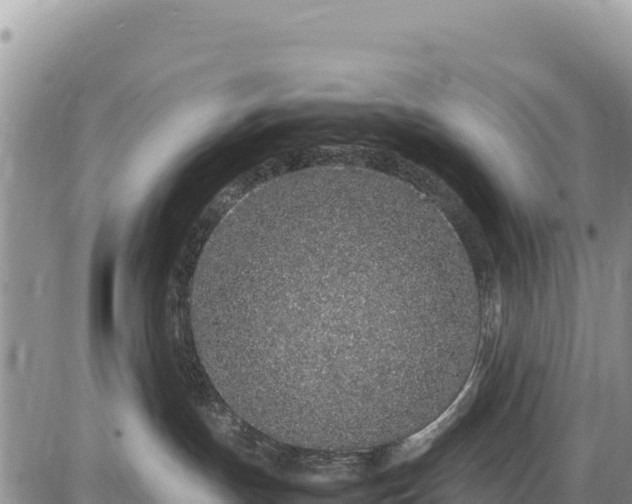 X0000086910191200704231228