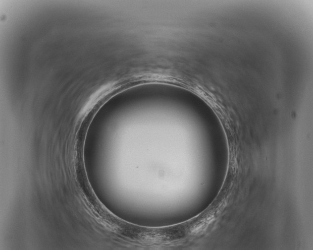 X0000086910199200704231227