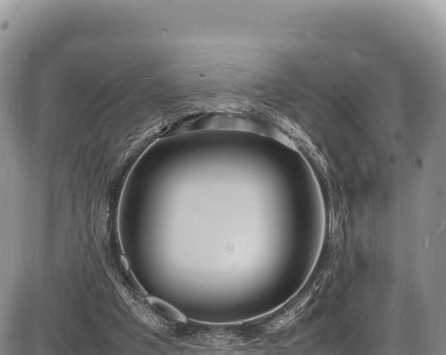 X0000086910201200704231227