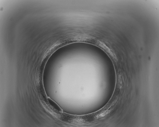 X0000086910203200704231227