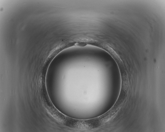 X0000086910207200704231227