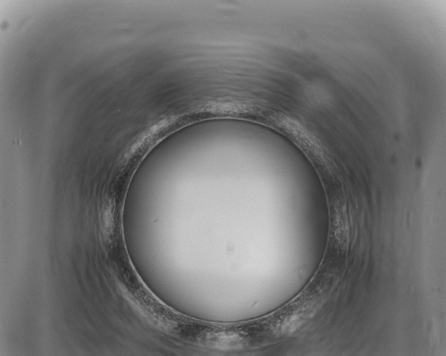 X0000086910208200704231227