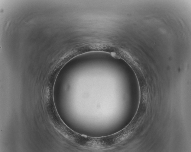 X0000086910211200704231227