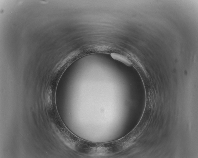 X0000086910212200704231227