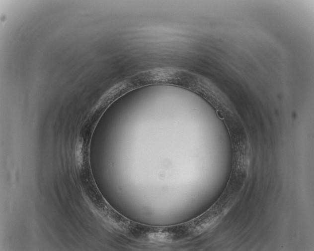 X0000086910216200704231226