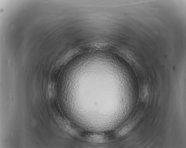 X0000086910236200704231226