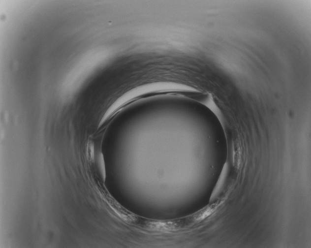 X0000086910239200704231226