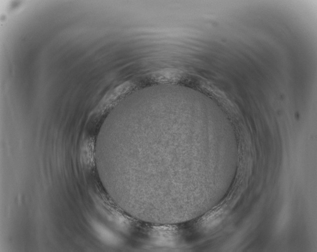 X0000086910240200704231226