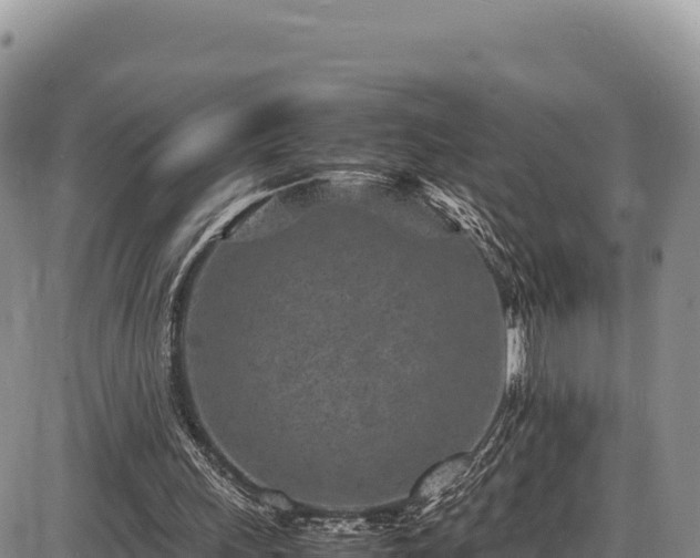 X0000086910243200704231225