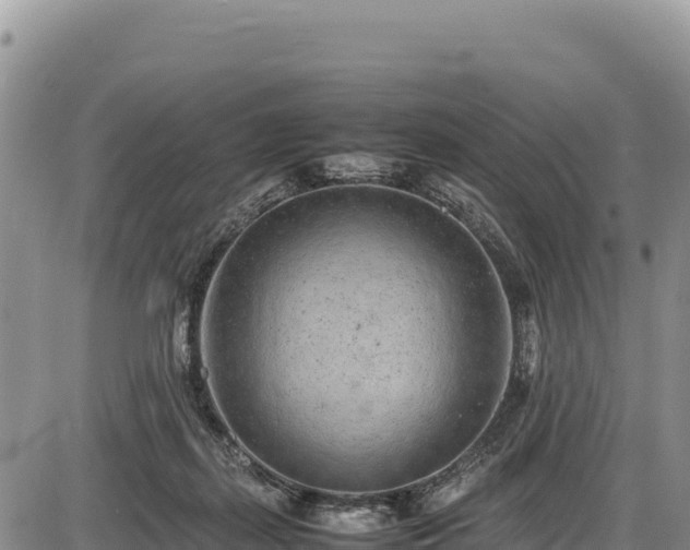 X0000086910267200704231226