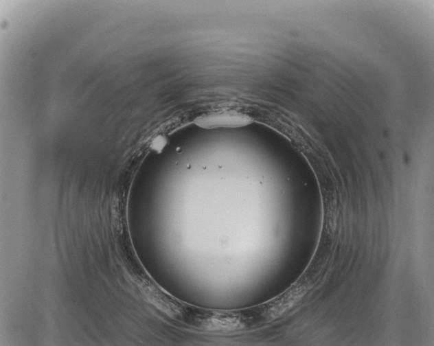 X0000086910270200704231226