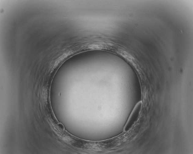 X0000086910297200704231225