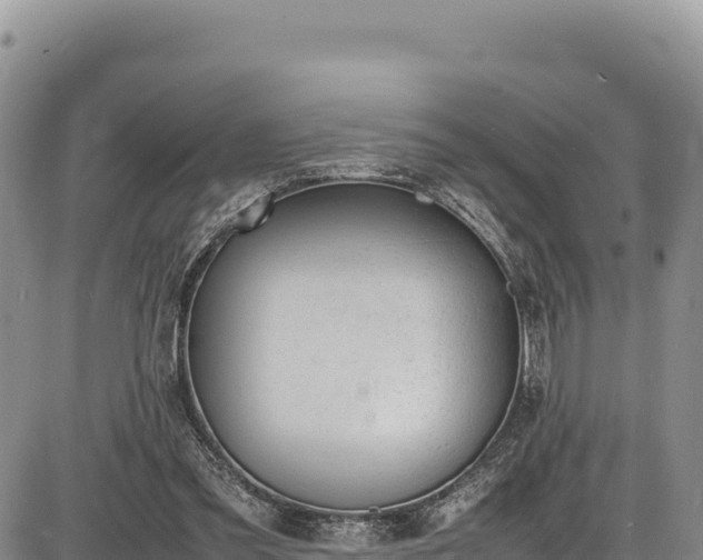 X0000086910301200704231225