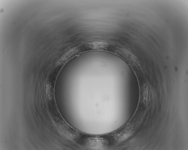 X0000086910316200704231225