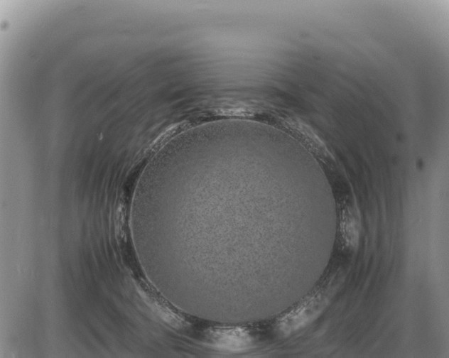 X0000086910322200704231225