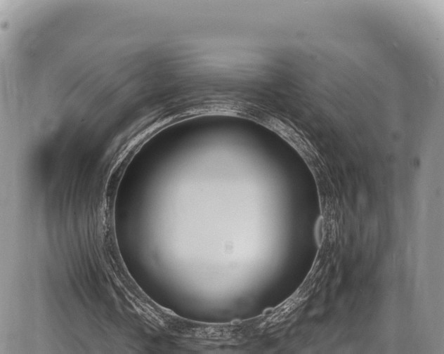X0000086910338200704231224
