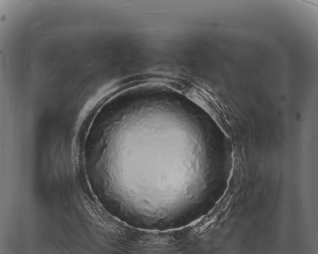 X0000086910343200704231224