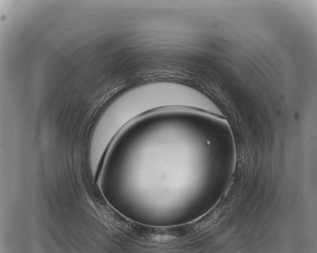 X0000086910360200704231224