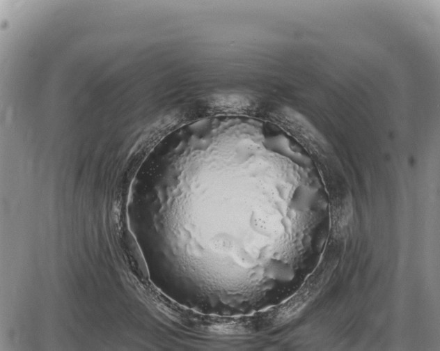 X0000086910365200704231224