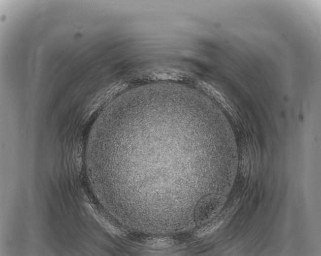 X0000086910402200704231223