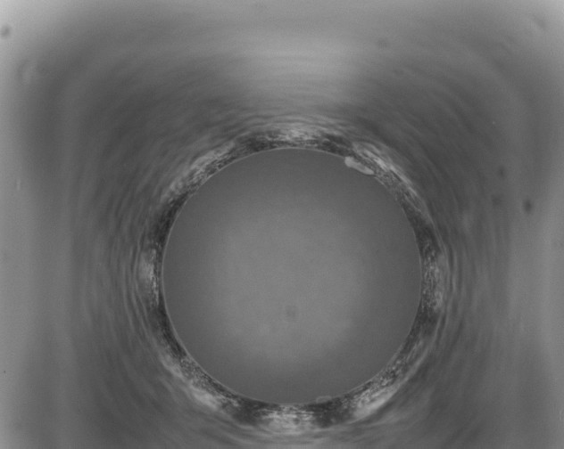 X0000086910415200704231223