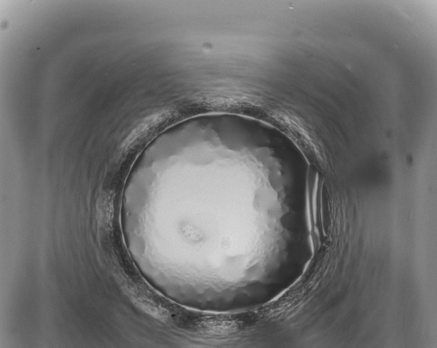 X0000086910495200704231222