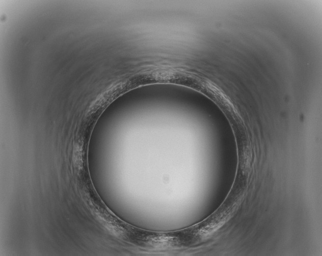X0000086910497200704231222