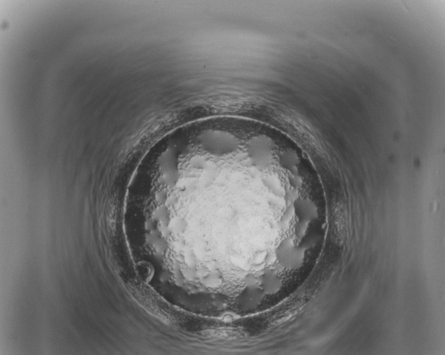 X0000086910499200704231222
