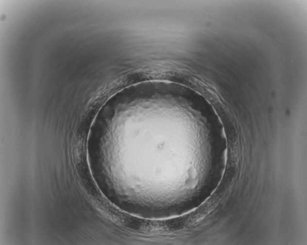 X0000086910503200704231222