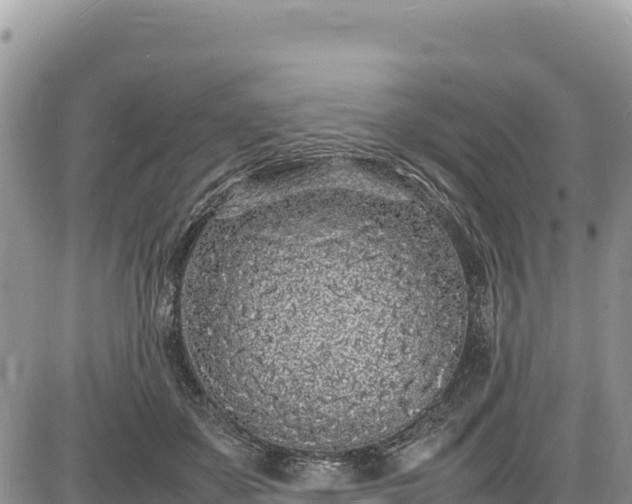 X0000086910507200704231222