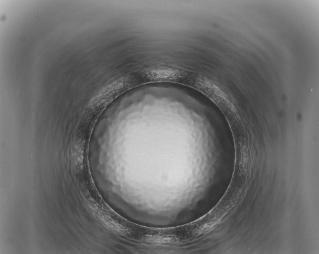 X0000086910545200704231221