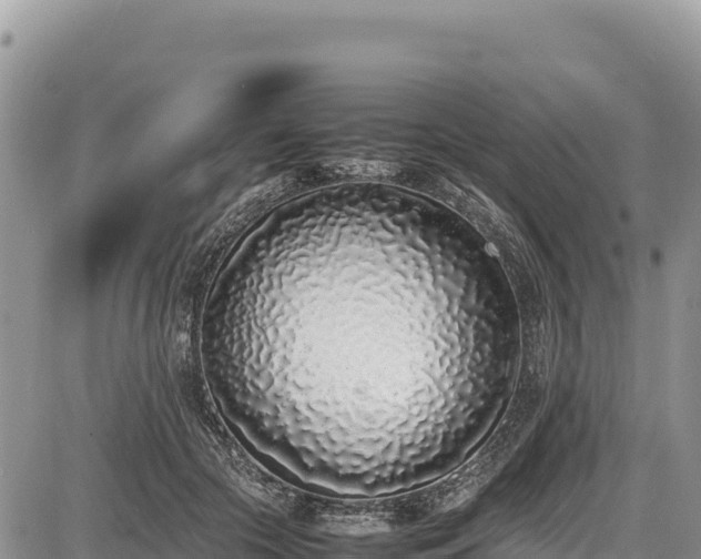 X0000086910553200704231221