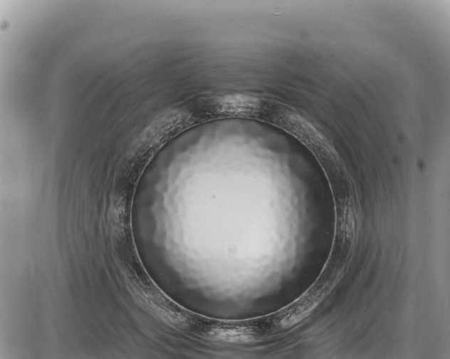 X0000086910557200704231221