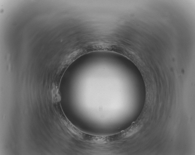 X0000086910624200704231220