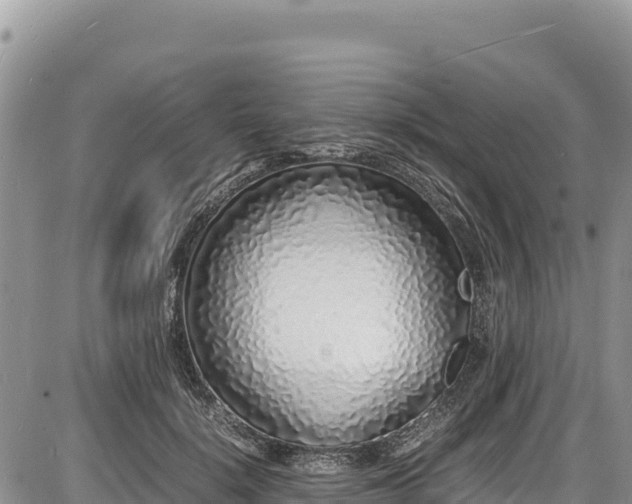X0000086910652200704231219