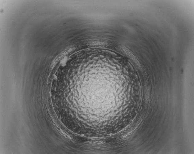 X0000086910721200704231217