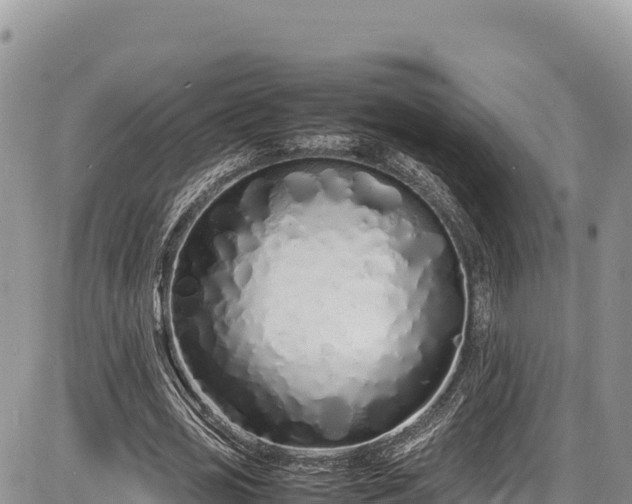X0000086910725200704231217
