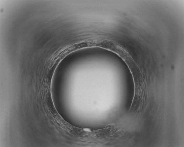 X0000086910773200704231217