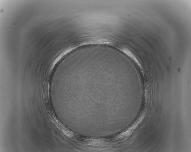 X0000086910781200704231217
