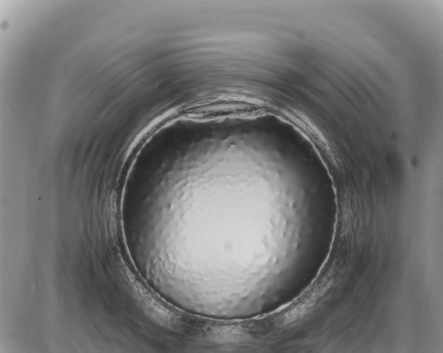 X0000086910798200704231217