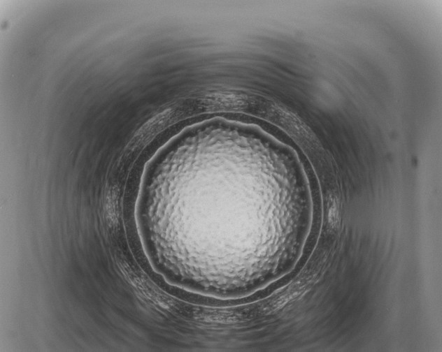X0000086910819200704231216