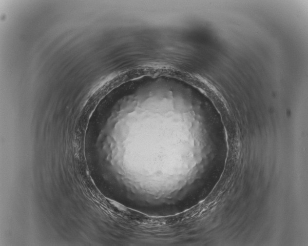 X0000086910823200704231216