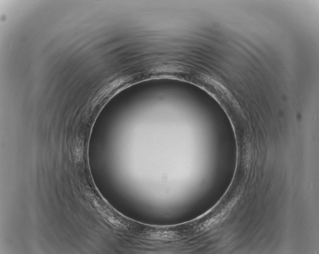 X0000086910833200704231216