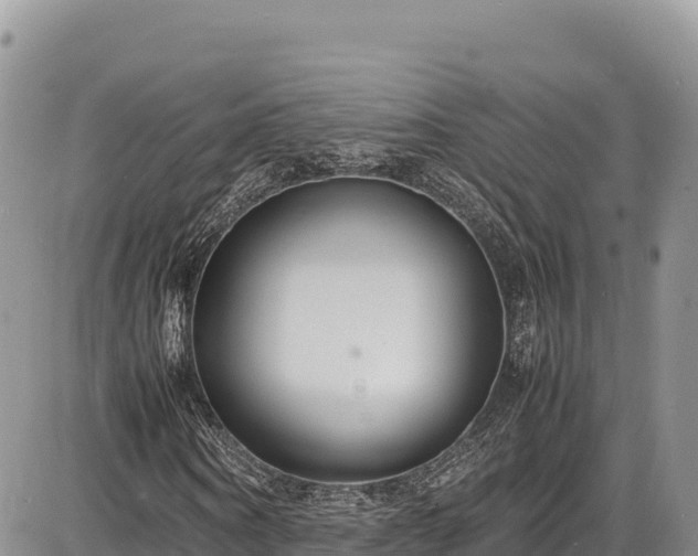 X0000086910866200704231216