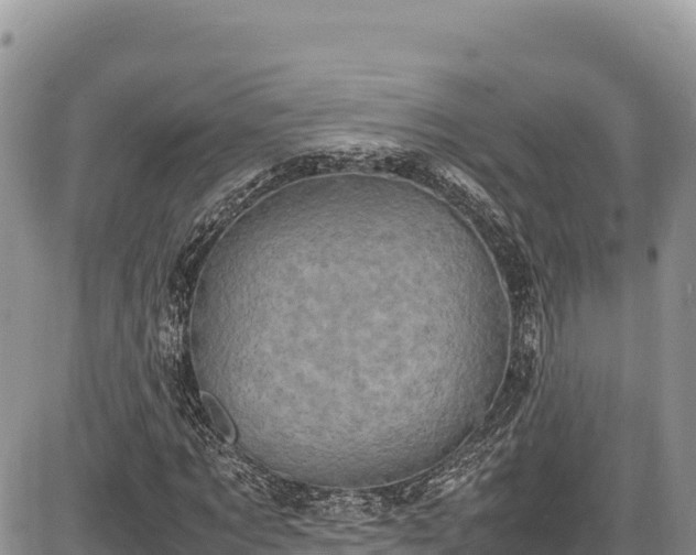 X0000086910869200704231216