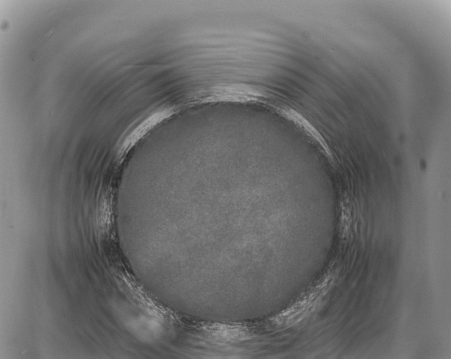 X0000086910874200704231216