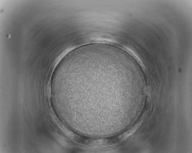 X0000086910891200704231215